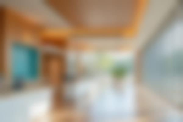 1. 张迪医生技术优势：研修背景+美学理念
