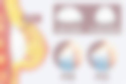 韩国瑞姿整形医院核心项目