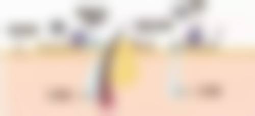 凯里魏医师医疗美容诊所正规资质