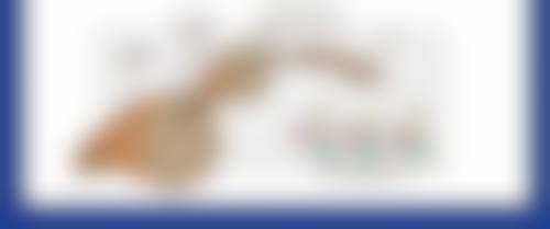 湖州吴兴曙光威兹曼医疗美容交通路线与预约