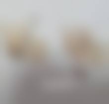 吴忠爱拉娜整形医院核心项目