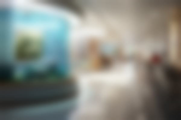 韩国女友整形外科医院