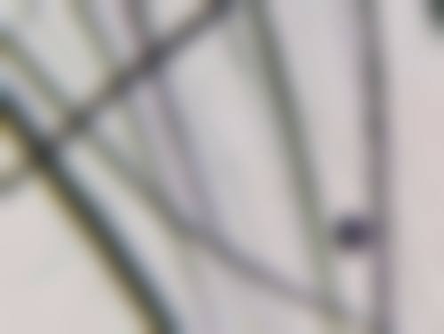 韩国MAX整形外科医院交通路线与预约