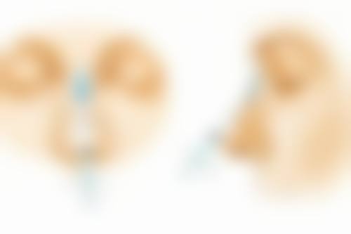 西双版纳旭美整形医疗美容门诊部核心项目