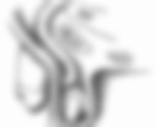 岳阳市中医医院(美容科门诊)医生团队