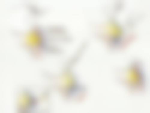 崔爽技术水平评价