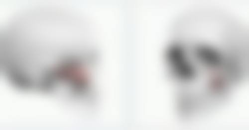 陆相华技术水平评价