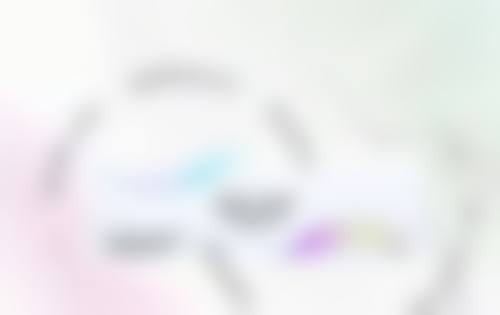 李团团技术水平评价