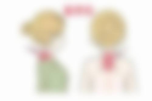 翟虹技术水平评价