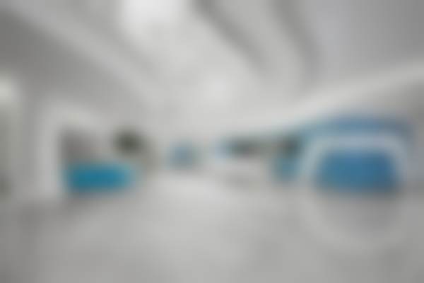 罗丽娟技术水平评价