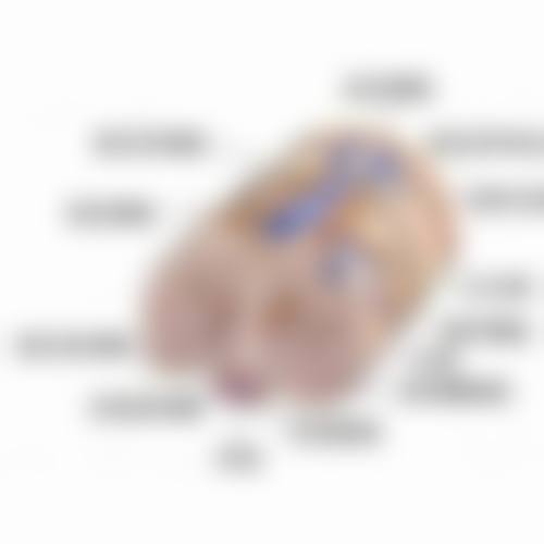 昆明医 科 大学第二附属医院(整形外科)正规资质