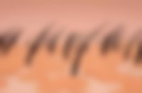 上海盈美医疗整形美容交通路线与预约