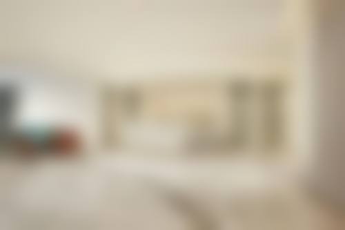 美加整形外科核心项目