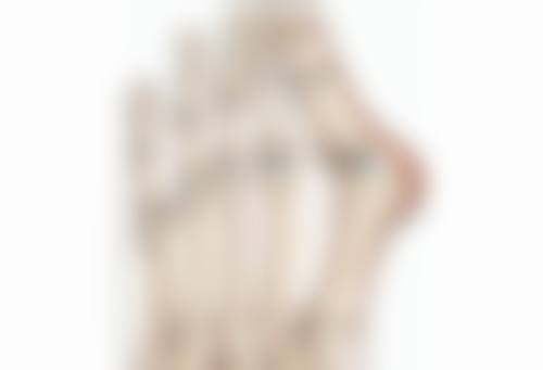 东阳禾栗整形医院价格参考