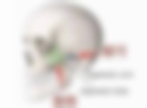 兰娜擅长项目列表