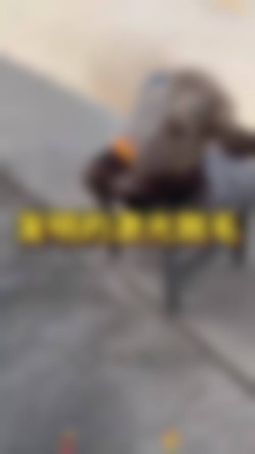 邢丽君患者评价