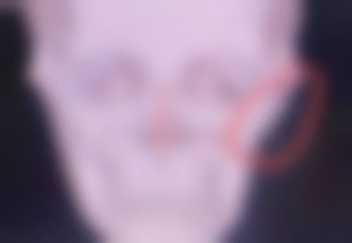 上海蔡仁祥整形医院医生团队