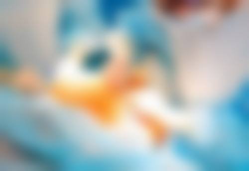 北京贝丽芙医疗美容诊所医生团队