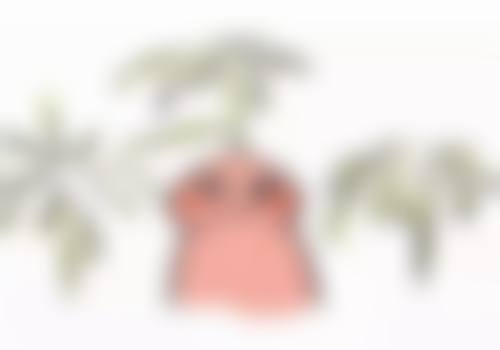 成都尼斯铂尚整形医疗美容医院患者评价