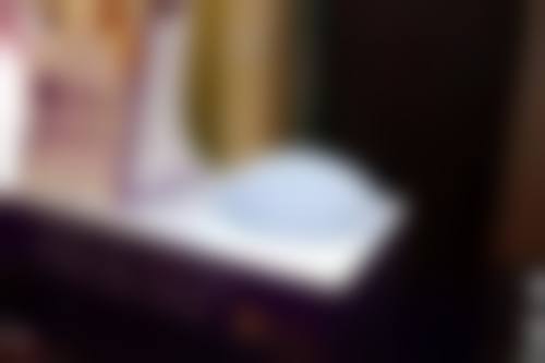 朱韶宣技术水平评价