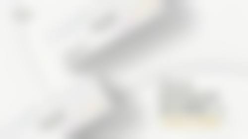 成都尼斯铂尚整形医疗美容医院核心项目