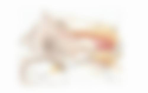 耒阳吉尤米美学整形医院核心项目