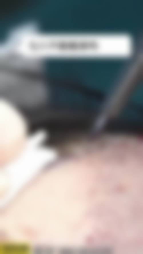 樊福全擅长项目列表