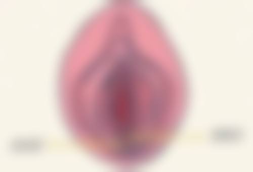 CHAI整形外科医生团队