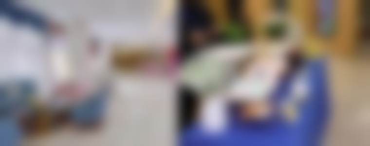 朱颖资质与专精介绍