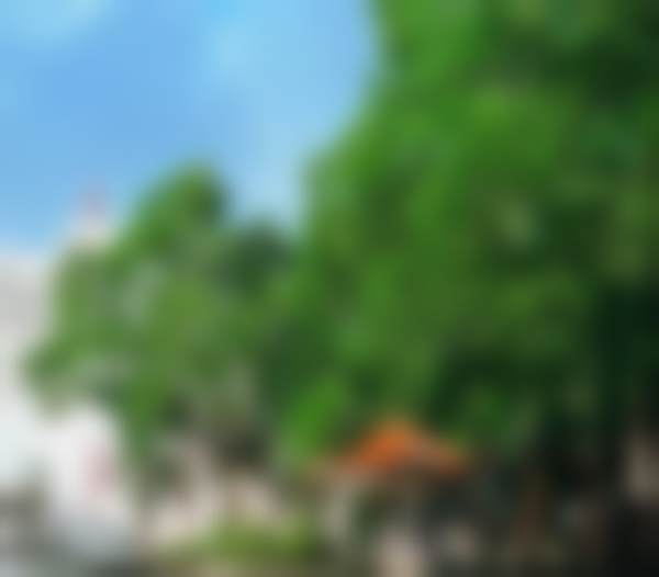 茂名市人民医院整形科专精团队与科研实力