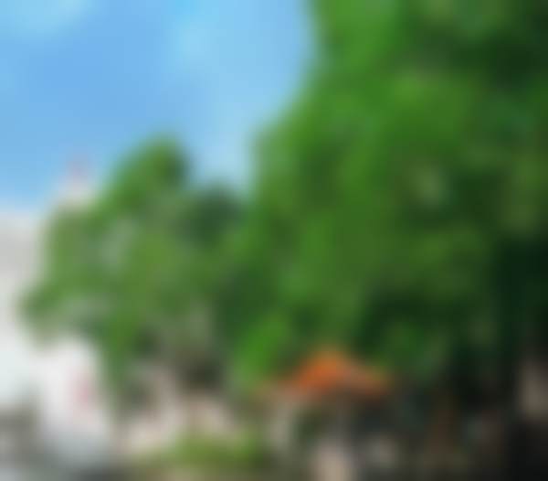 茂名市人民医院整形科核心项目