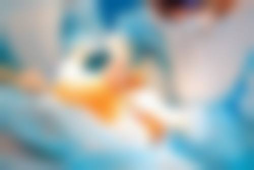 陈秀芸技术水平评价