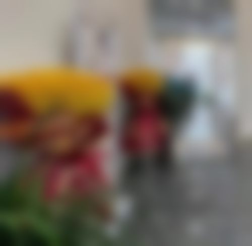 透明价格体系，性价比突出