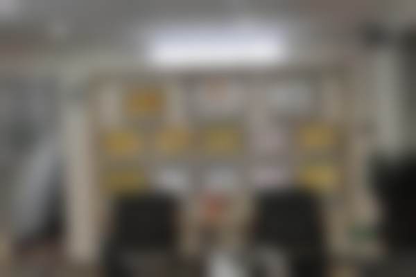 廖骏擅长项目列表