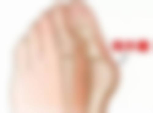 交通路线与预约方式