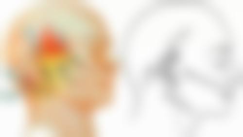 宁海牙科机构服务亮点