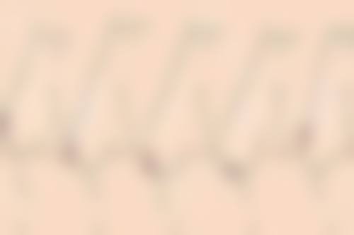 交通路线与预约方式