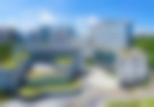 粘铭轩技术水平评价