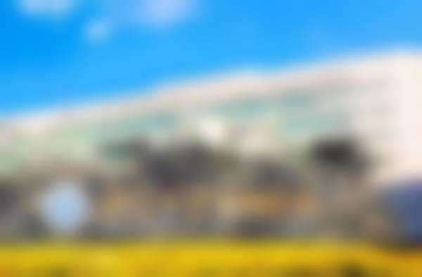 罗林预约方式及价格表