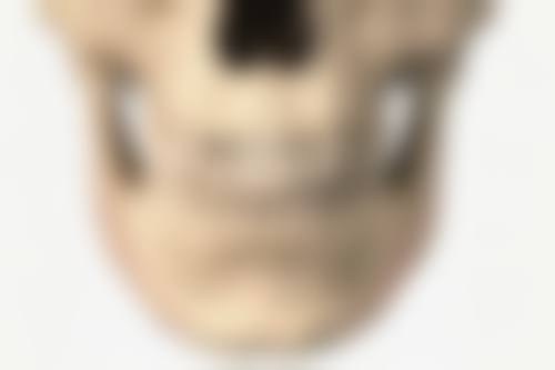 关小康擅长项目列表