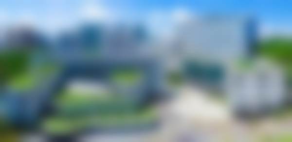 龙云擅长项目列表