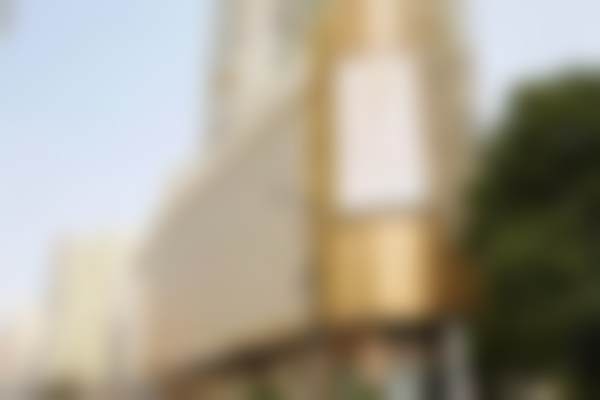 荣峥技术水平评价