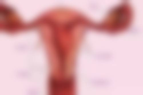 潍坊市人民医院美容整形科地址及到院路线