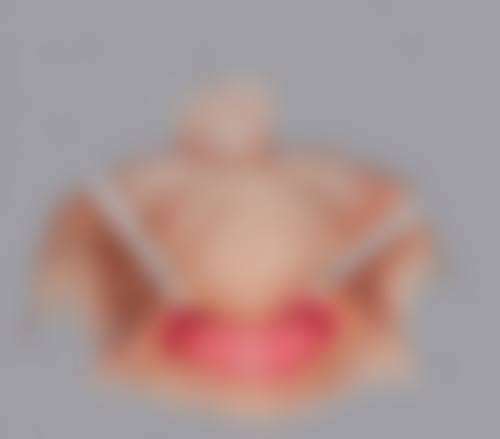 刘海鹰技术水平评价