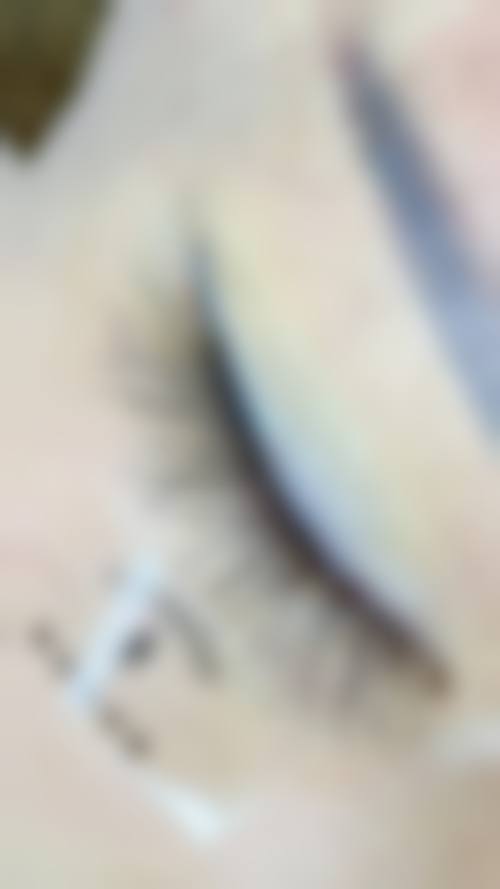 心美眼整形外科核心项目