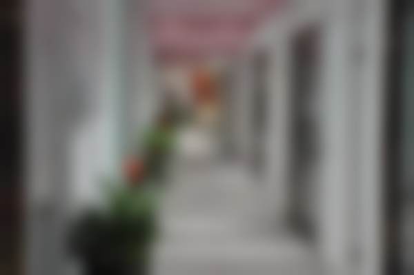 胡宝红擅长项目列表