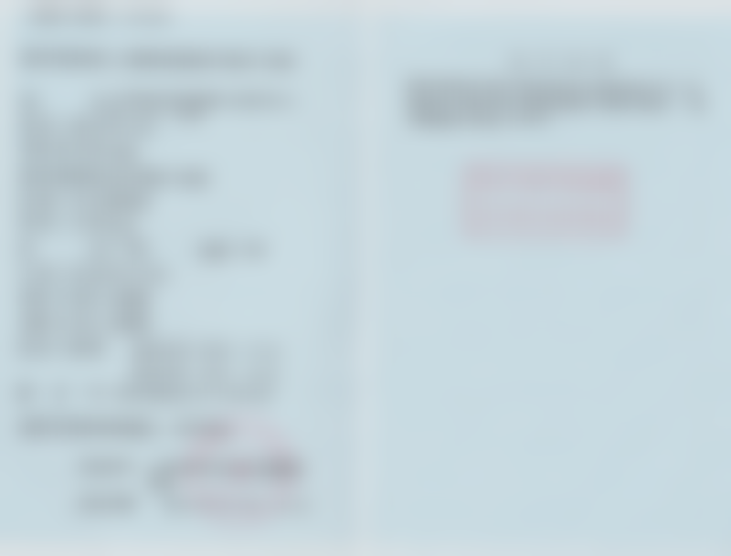 张诗若技术水平评价