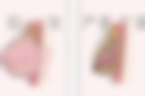 日本银座紫罗兰花（すみれの花）美容形成外科医院价格参考