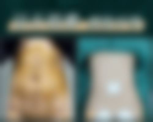 梁衍炜擅长项目列表