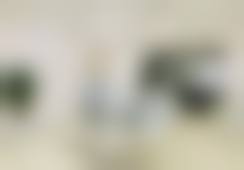 彭伟兵技术水平评价